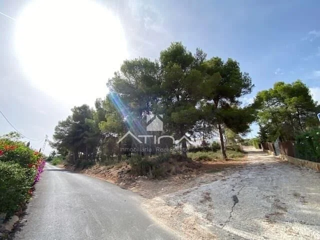 Licensed Montgó plot with project