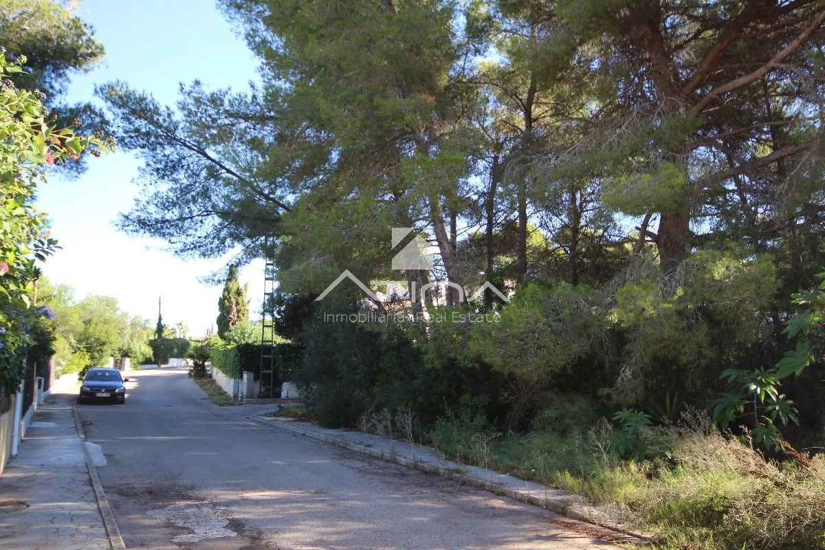 Urban plot in Costa Nova, 1381 m²