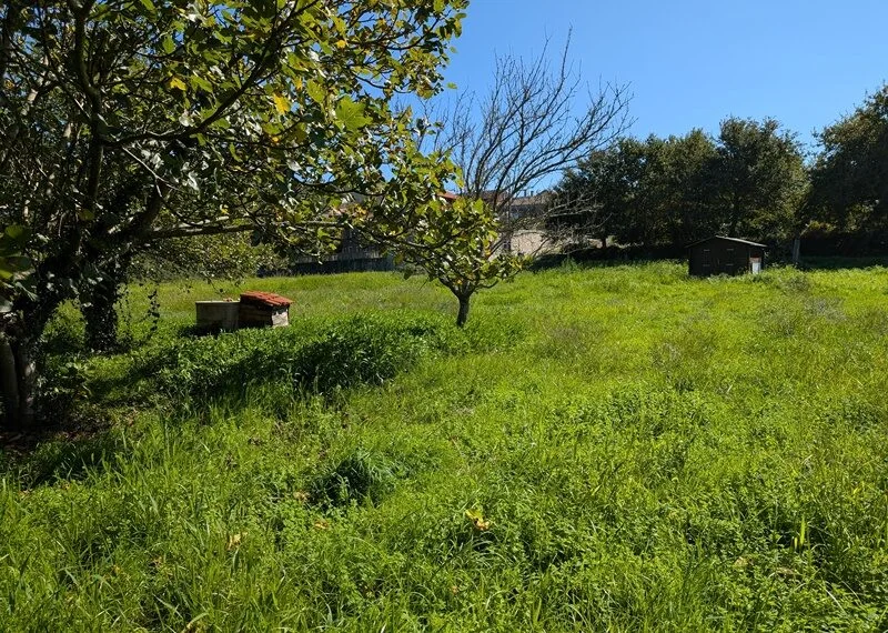 Molino rural con parcela de 3.071 m²