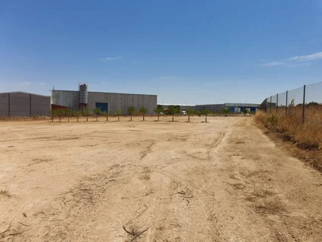 Developable Guadamur plot near theme park