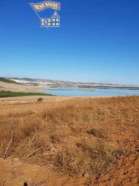 Gran finca rústica en Bornos