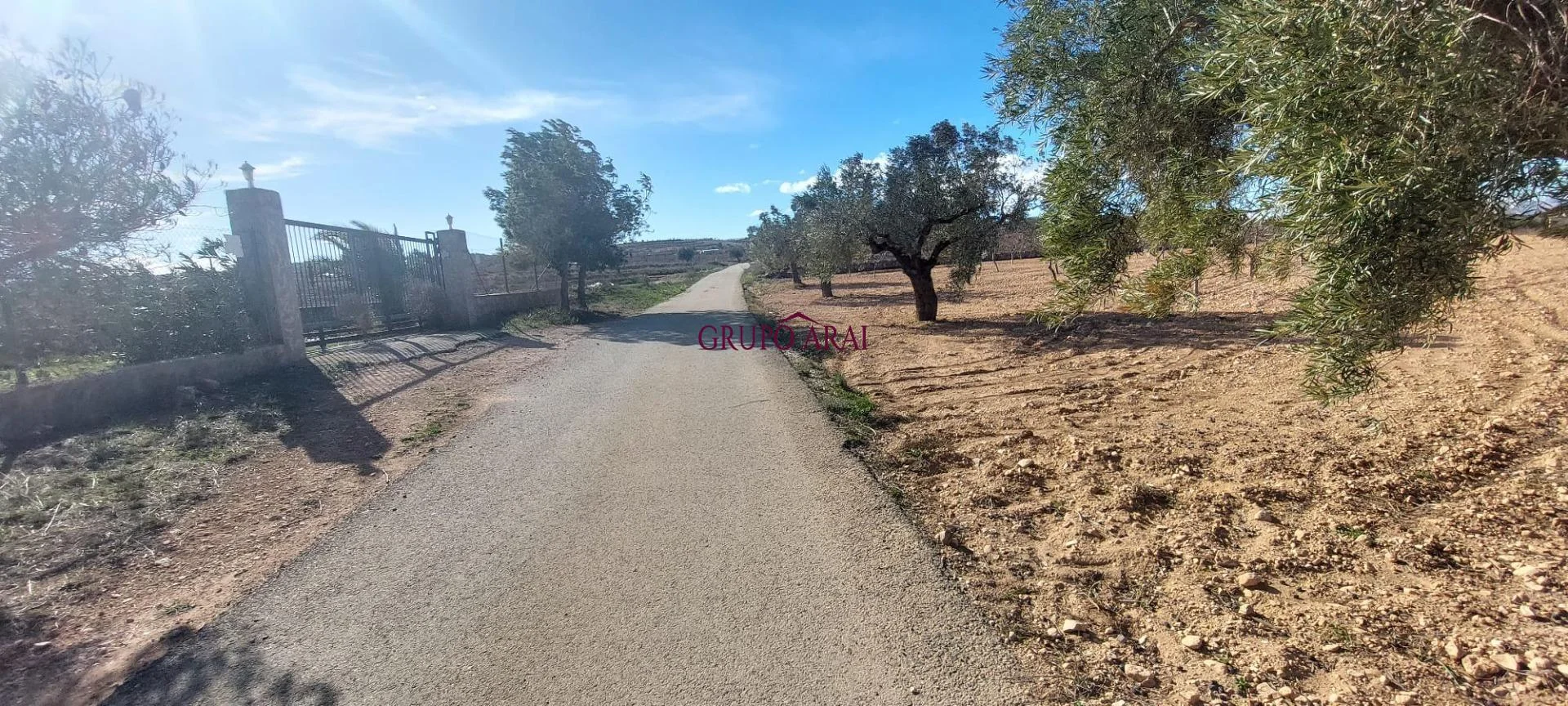 Rural plot near town, 15,412 m²