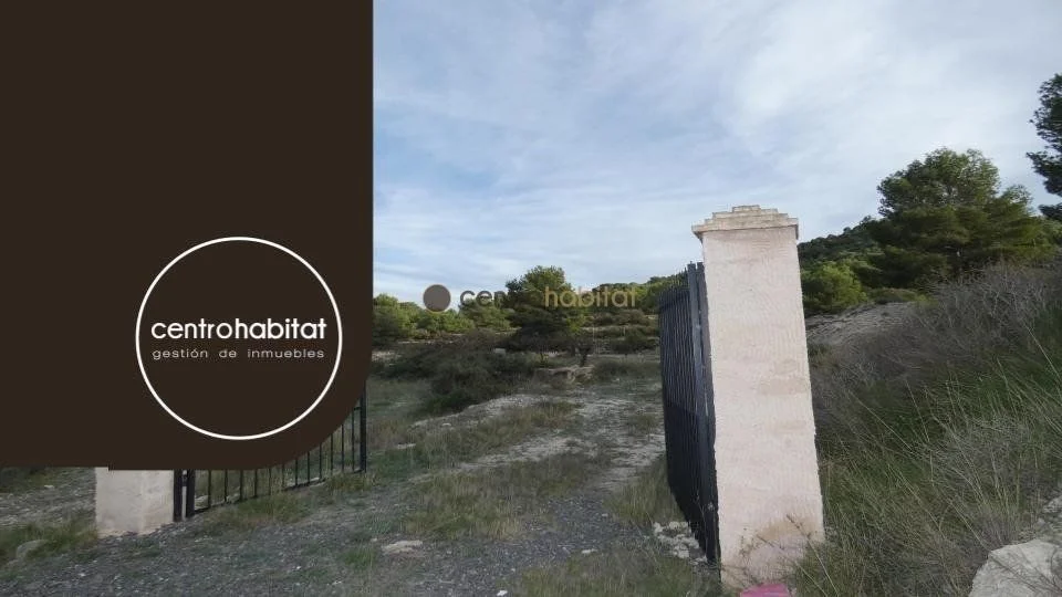 Rural plot near Monóvar, 10,041 m²