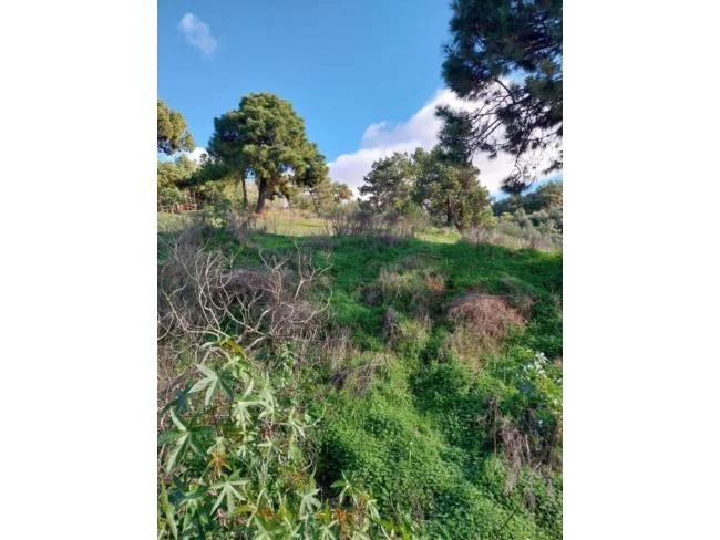 Residential Forest Hill plot, 885 m²