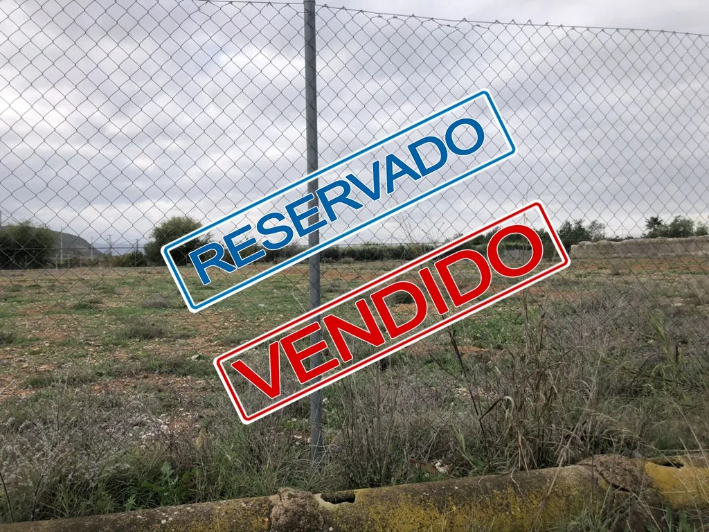 Rustic land in Hellín, 10,000 m²