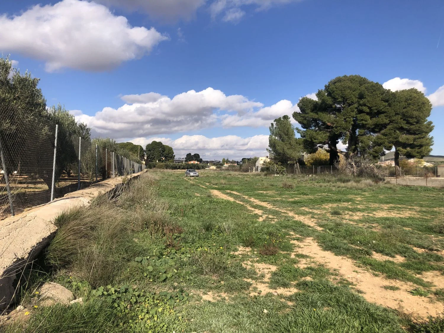Finca rústica en Hellín de 9.000 m²
