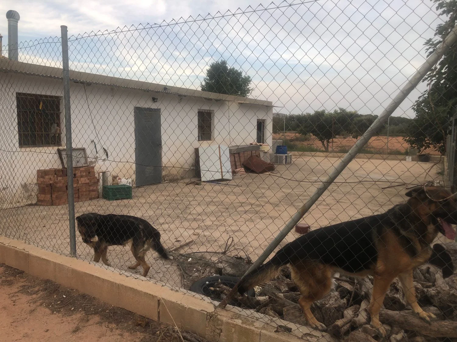 Finca rústica en Hellín con nave de 60 m²