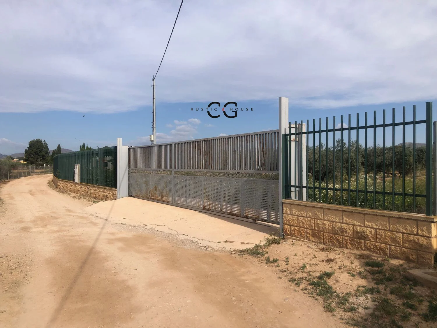 Olivar productivo cerca de Hellín