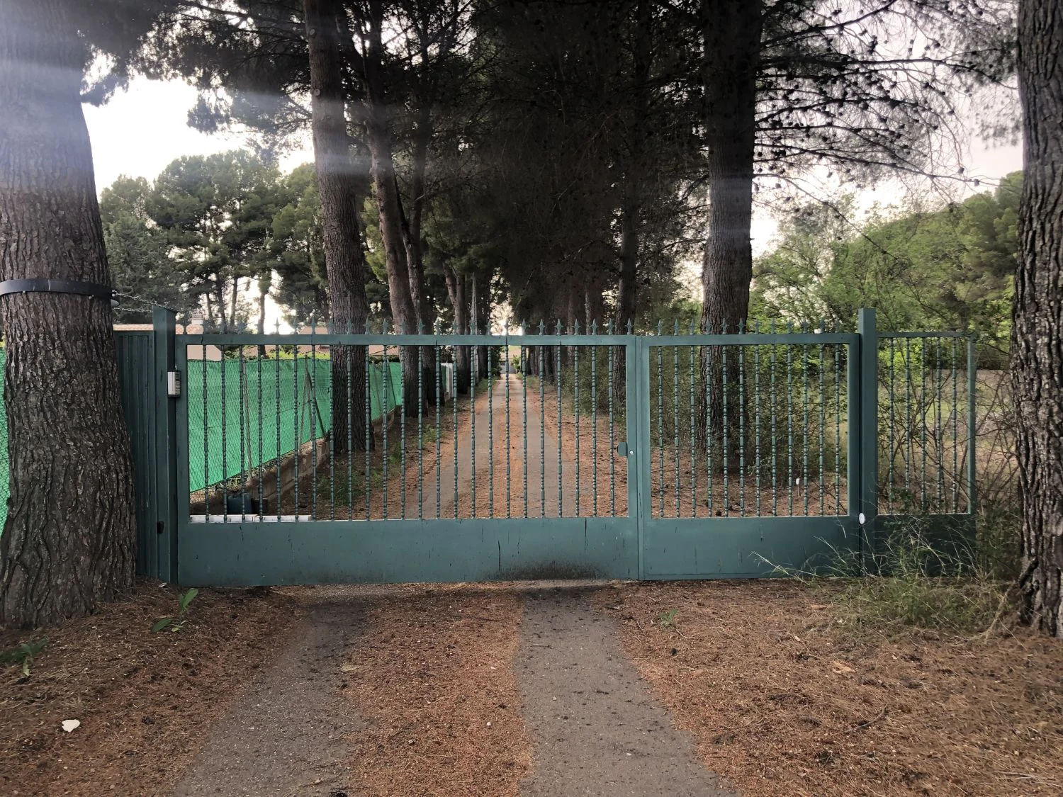 Parcela rústica cerca de Hellín con vallado