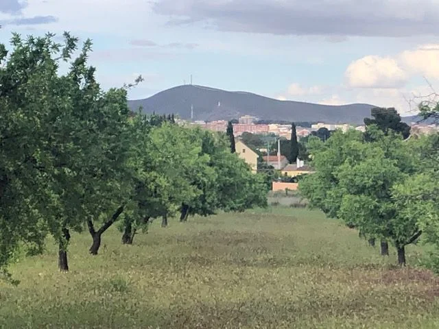 Rural buildable plot near Hellín