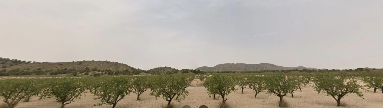 120-Hectare Almond Farm Near Tobarra