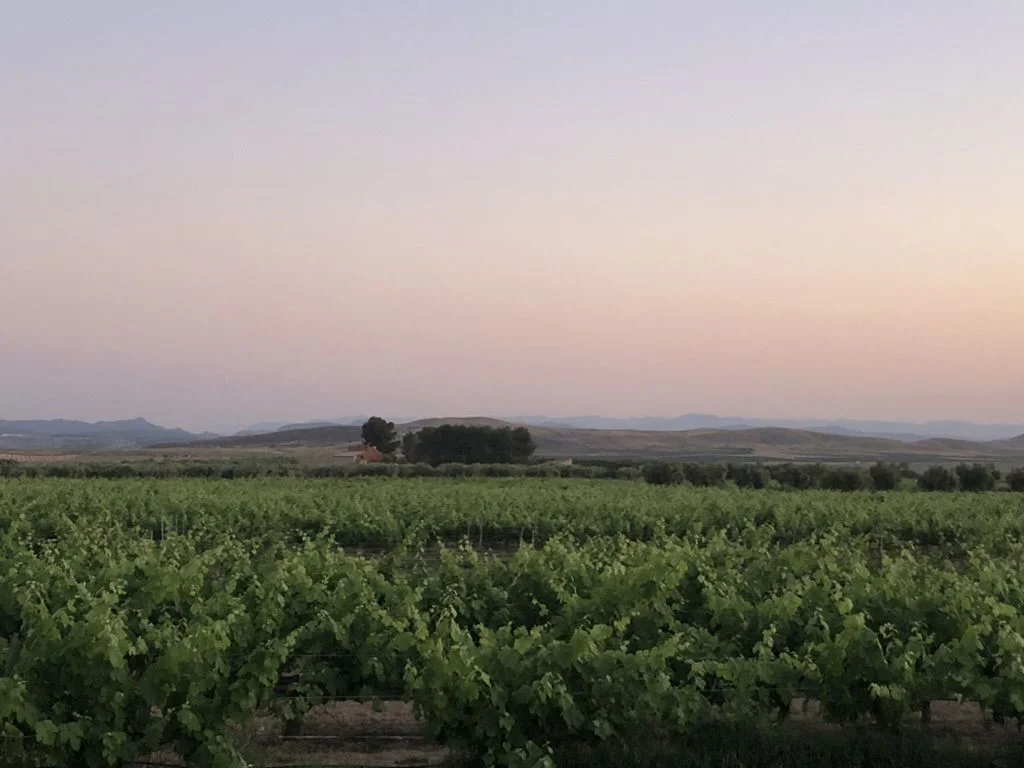 Productive irrigated rural estate in Tobarra