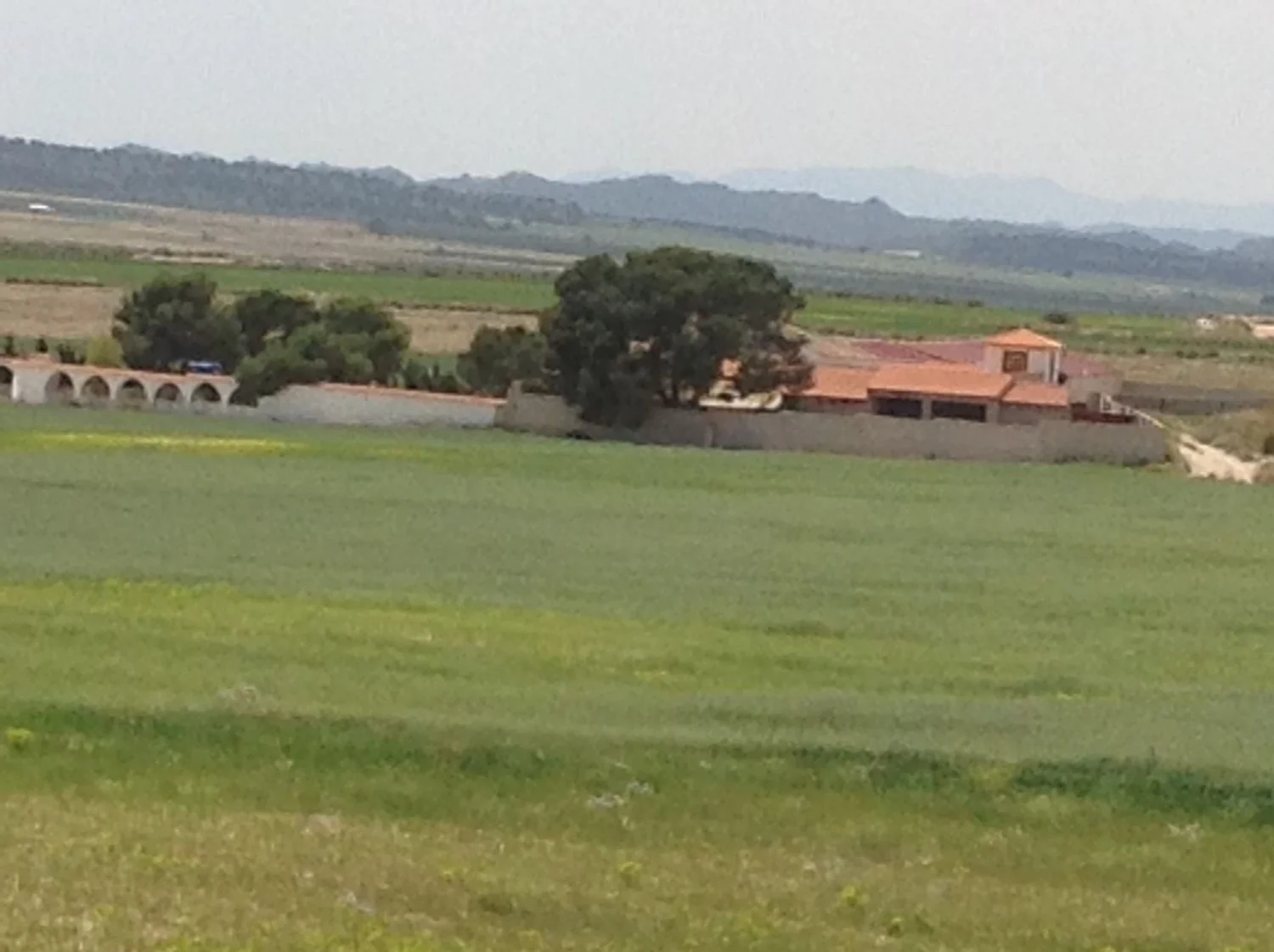 Extensive irrigated agricultural estate