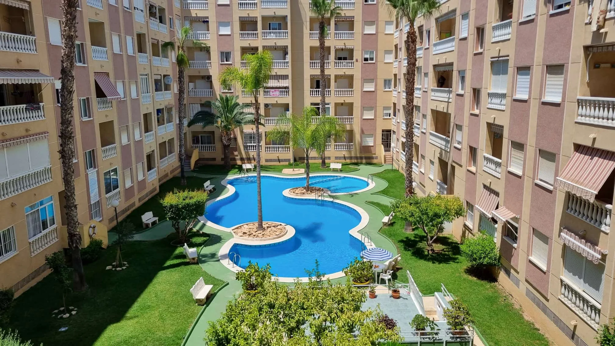 Estudio amueblado con vistas a piscina en Torrevieja