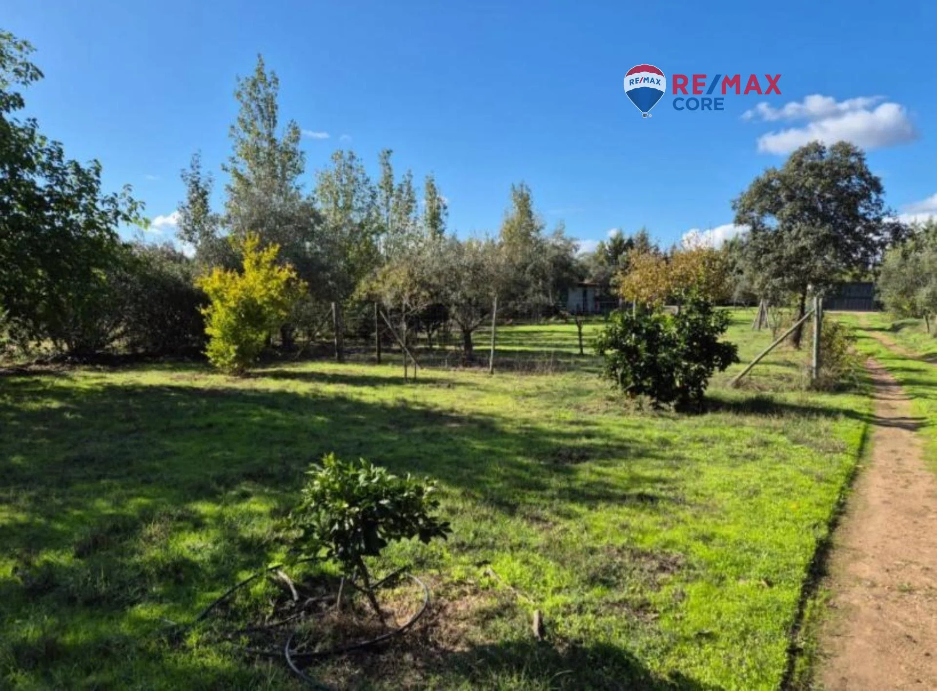 Country house near Badajoz with orchard