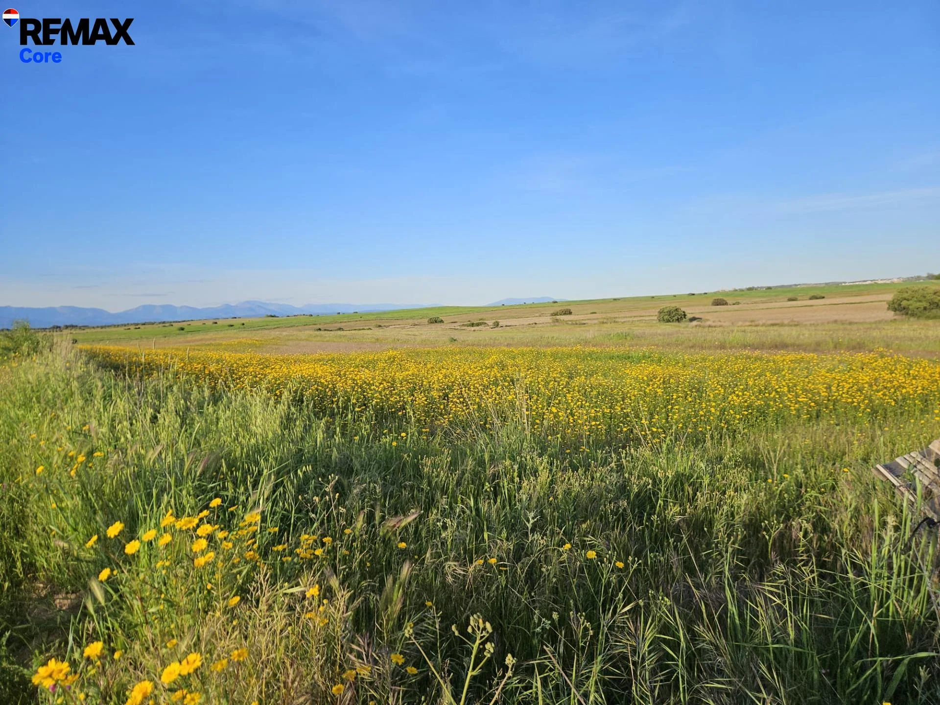 Rural plot near A5, 25,000 m²