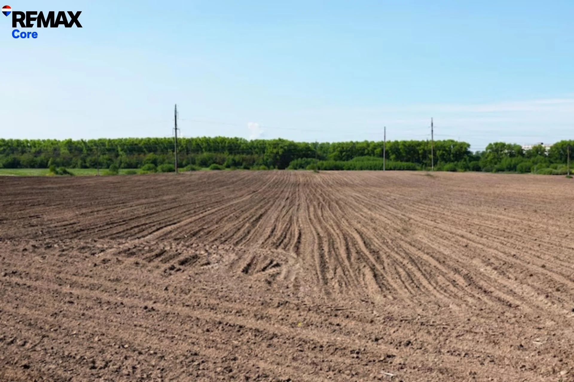 Irrigated rural estate near Mérida, 174 hectares