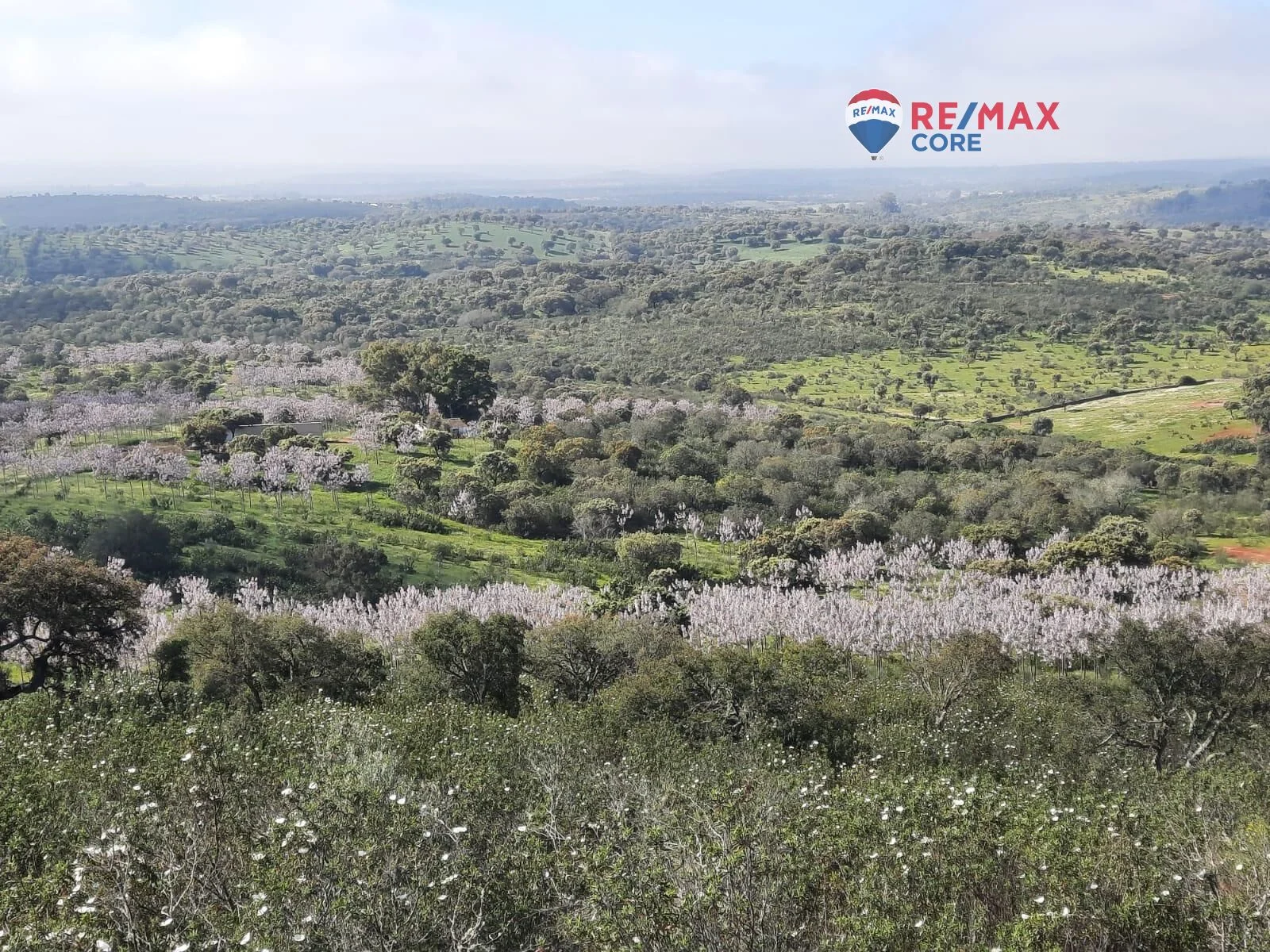 Rural estate near Portugal, 36.5 hectares