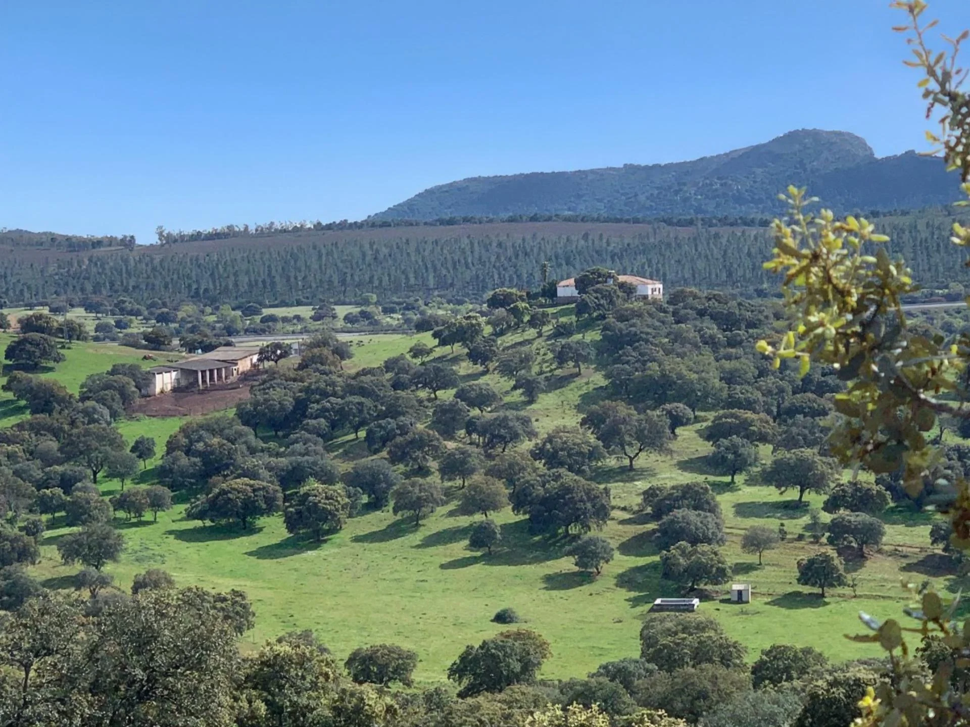 350-hectare rural estate with livestock