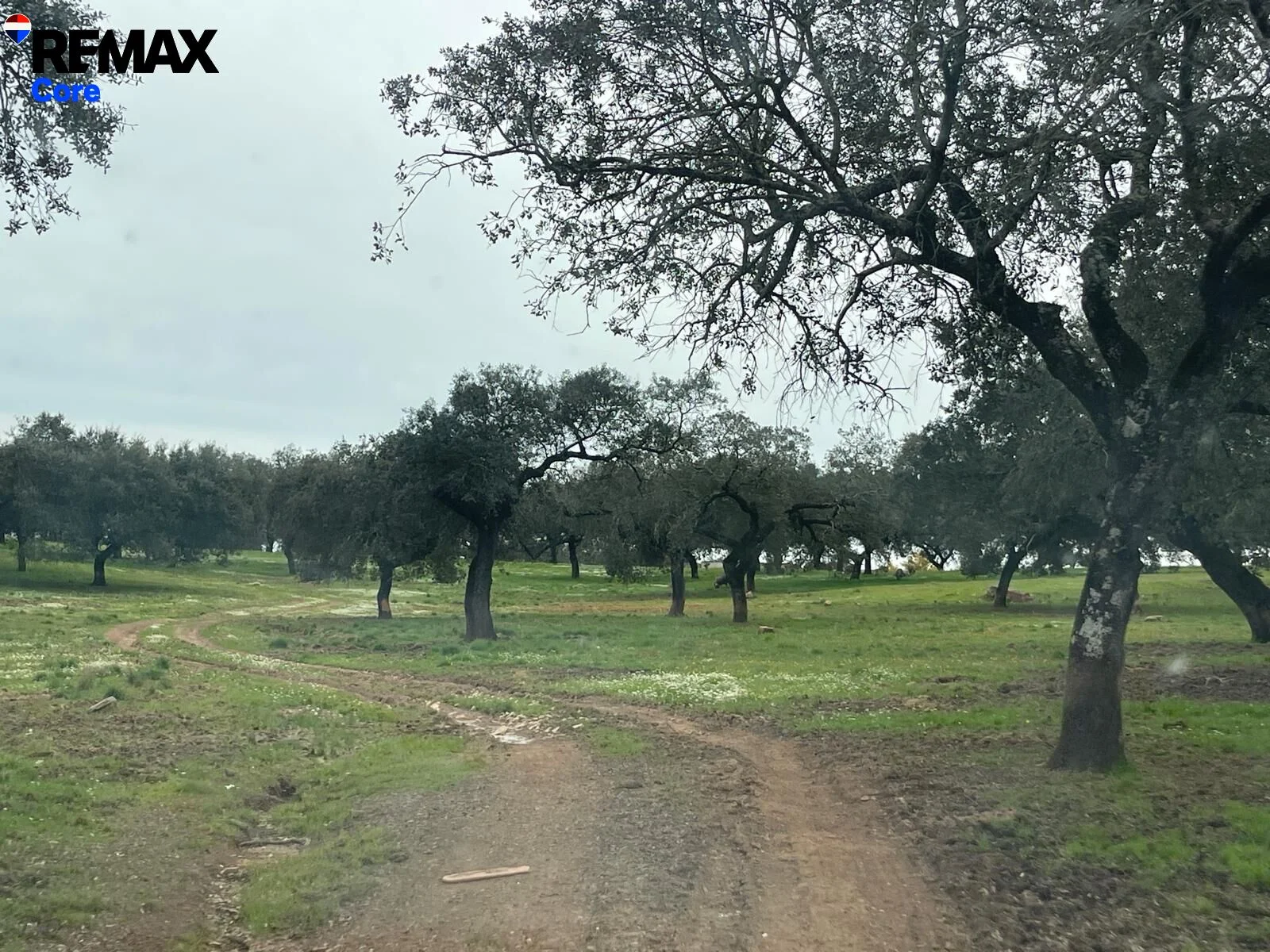 37-hectare rural estate near Jerez
