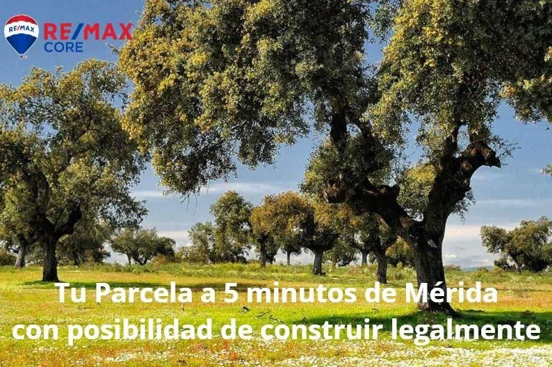 Seven rustic plots near Mérida