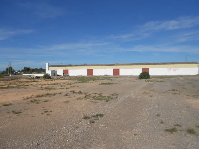 Industrial warehouse on 25,000 m² plot