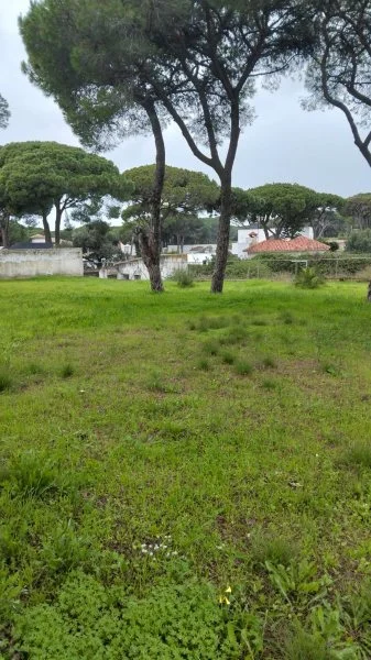 Developable Chiclana plot, 1,100 m²