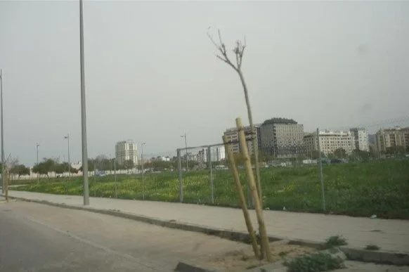 Urban industrial Alzira plot, 1,075 m²