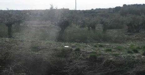 Suelo urbanizable en Cabanillas, 29.280 m²