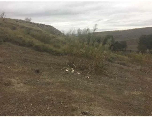 Terreno urbano en Illana, 17.368 m²