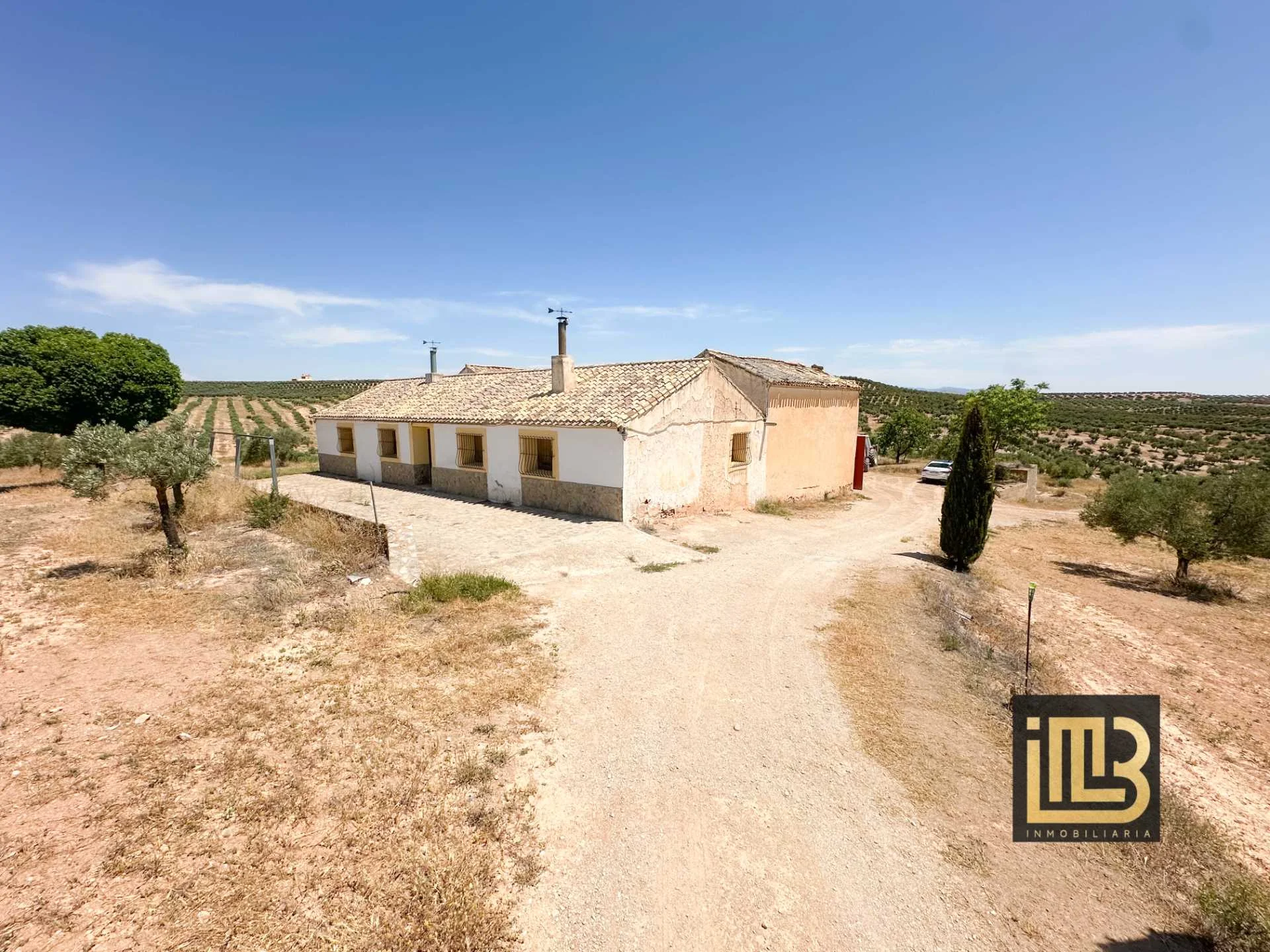 130-hectare olive estate portfolio