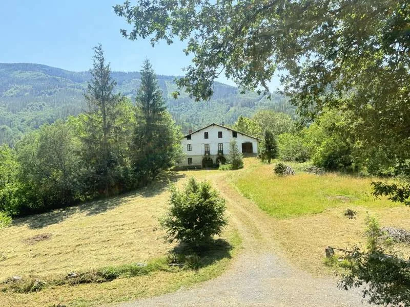 Well-maintained farmhouse near Antzuola, 5 bedrooms