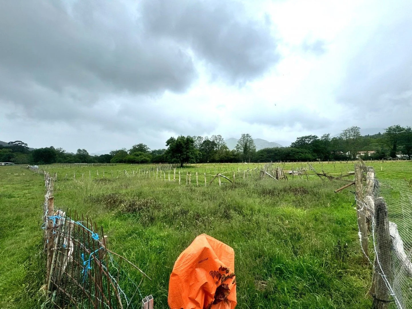 Rural plot in Helguera, 240 m²