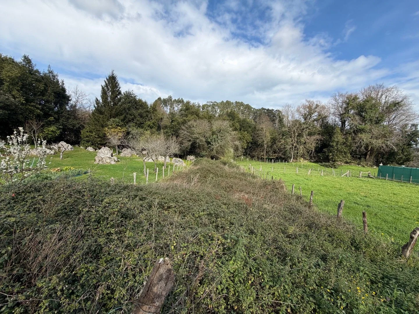 Level rural plot near Castro Urdiales