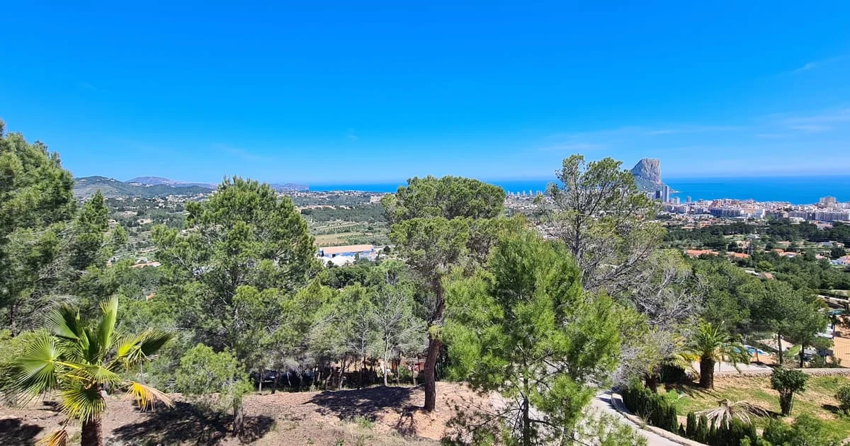 Calpe development plot for five homes