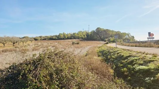 Sant Joan rural plot, 17,580 m²