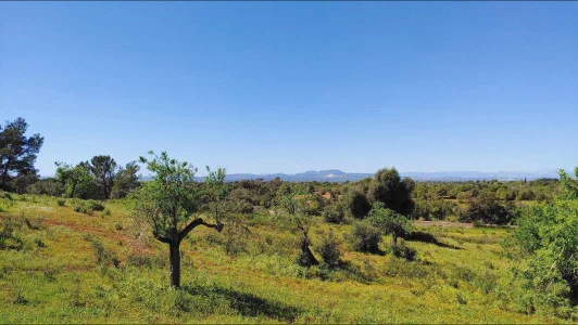 Rural Felanitx plot with approved project
