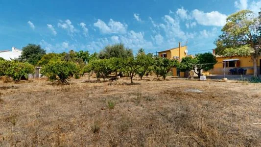 Rustic house with large garden