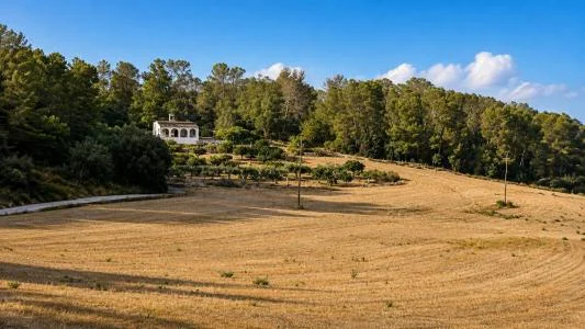 Gran solar rural en Algaida, 30.960 m²