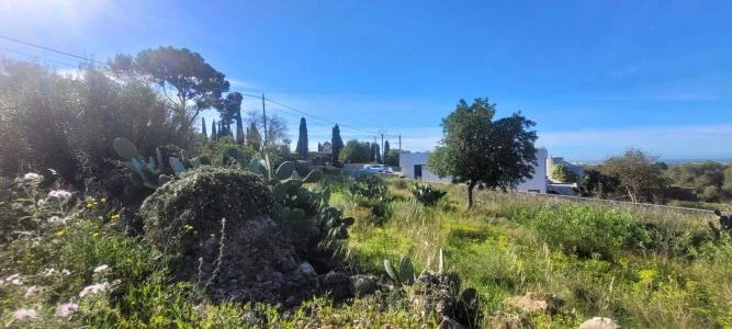 Terreno urbano en Sa Cabaneta, 2.400 m²