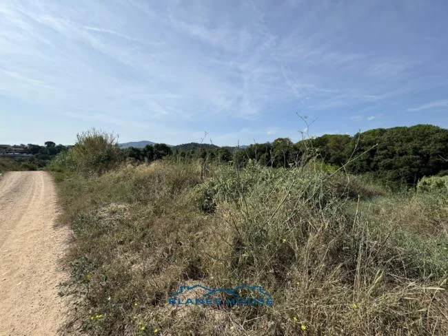 Parcela rústica arbolada de 15.000 m²