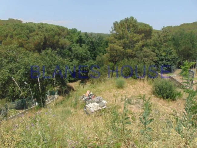 Parcela de 800 m² cerca de la Costa Brava