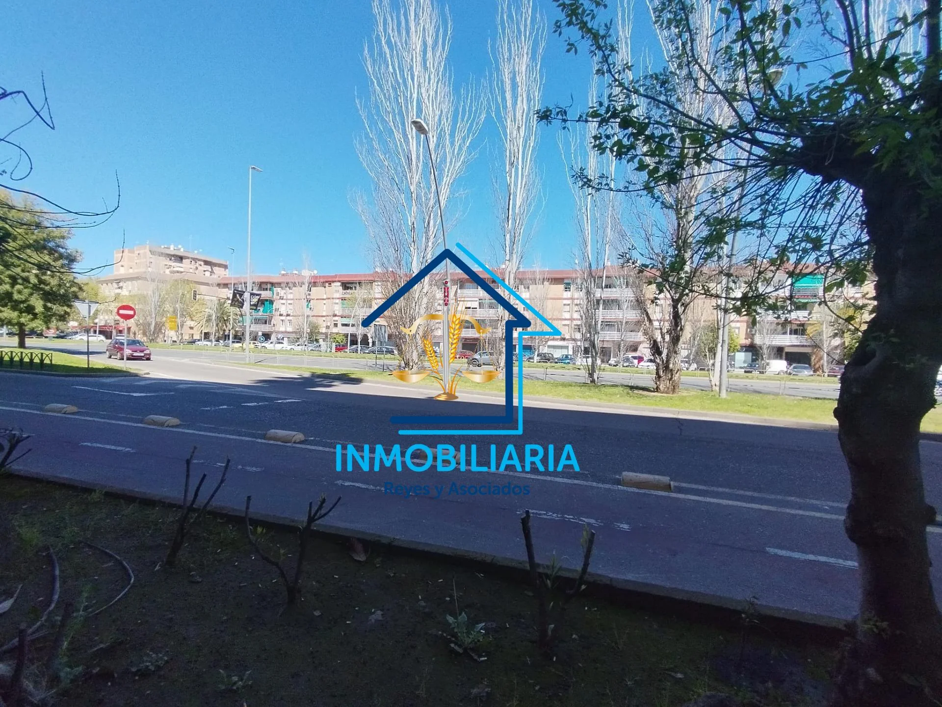 Local reformado en Carlos III