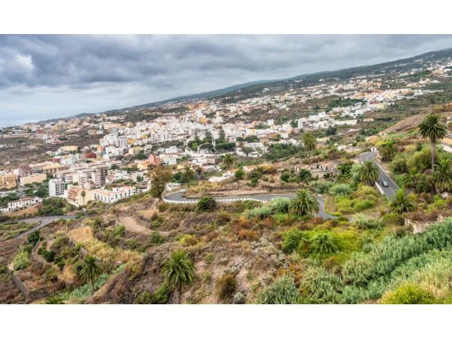 Gran finca agrícola con construcciones