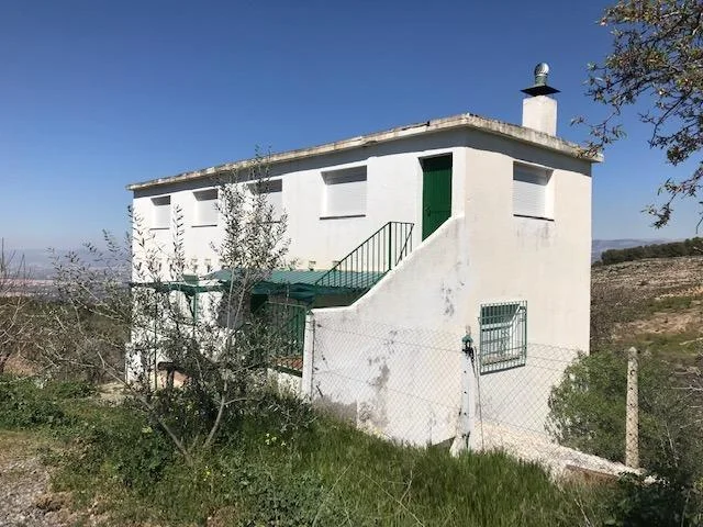 Productive rural estate near La Zubia