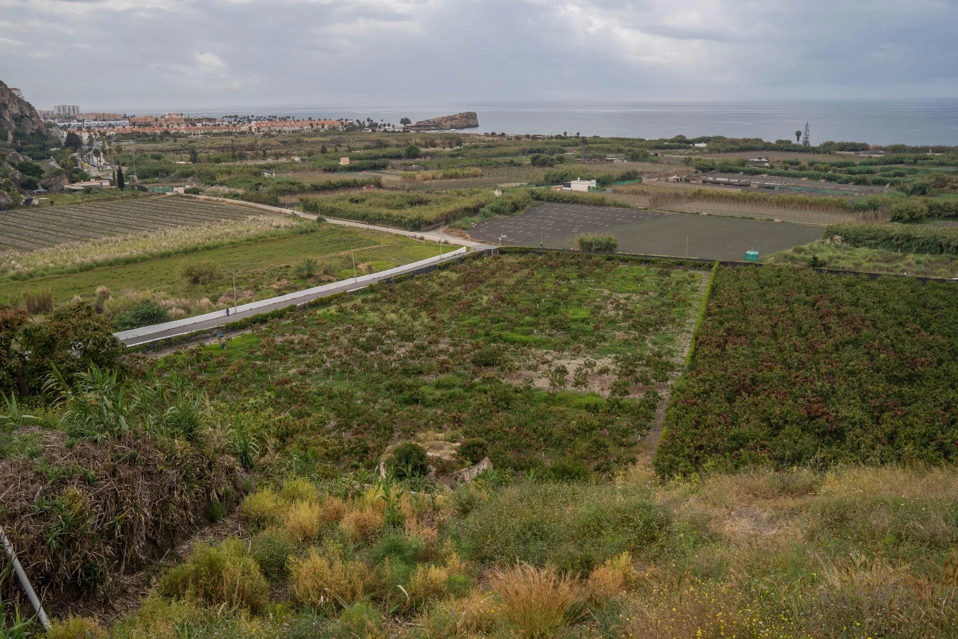 Urban-rural finca with sea views