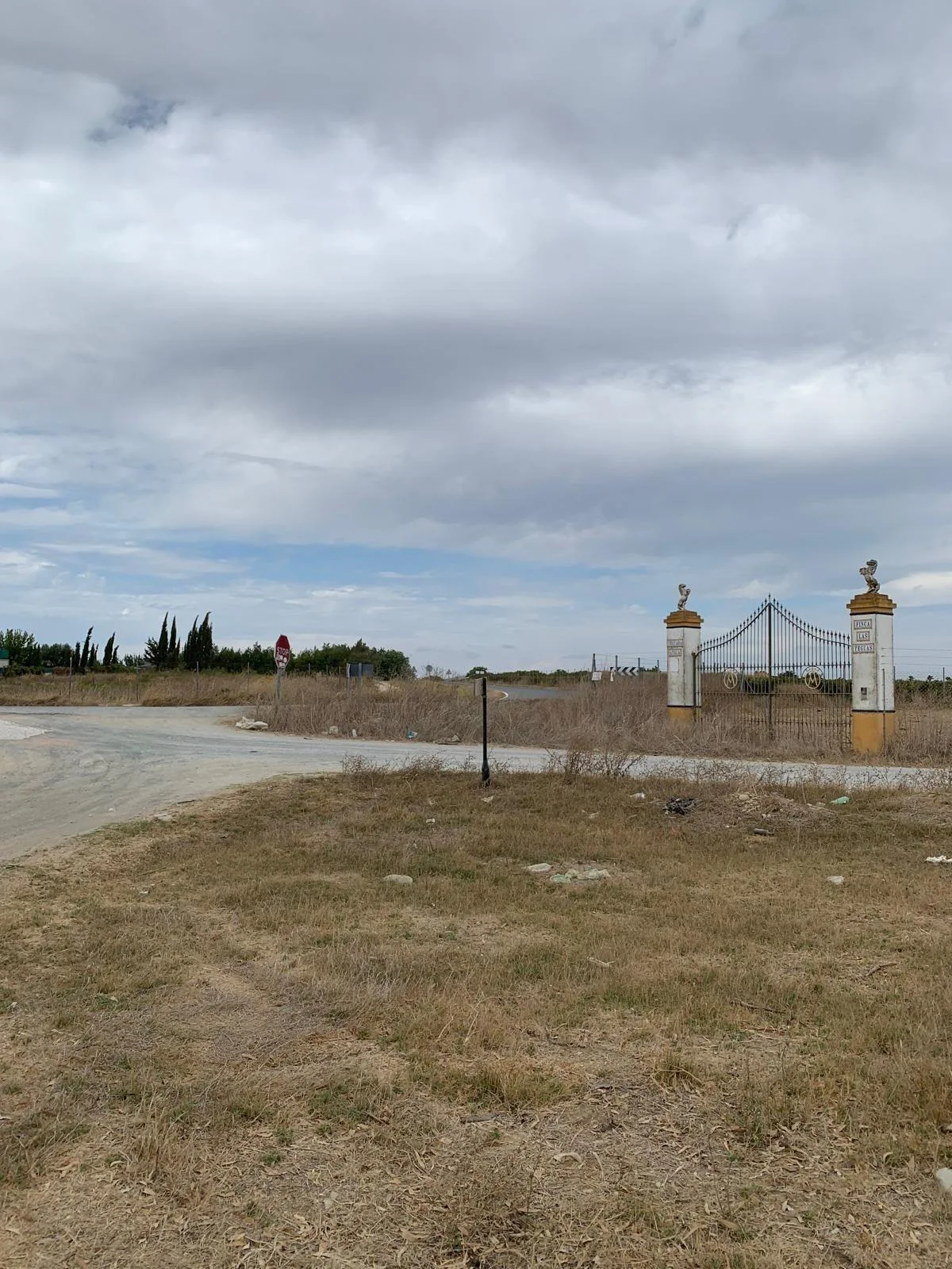 Land plot in Don Rodrigo