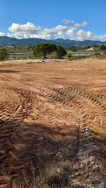 Agricultural land in Castalla, 16,000 m²