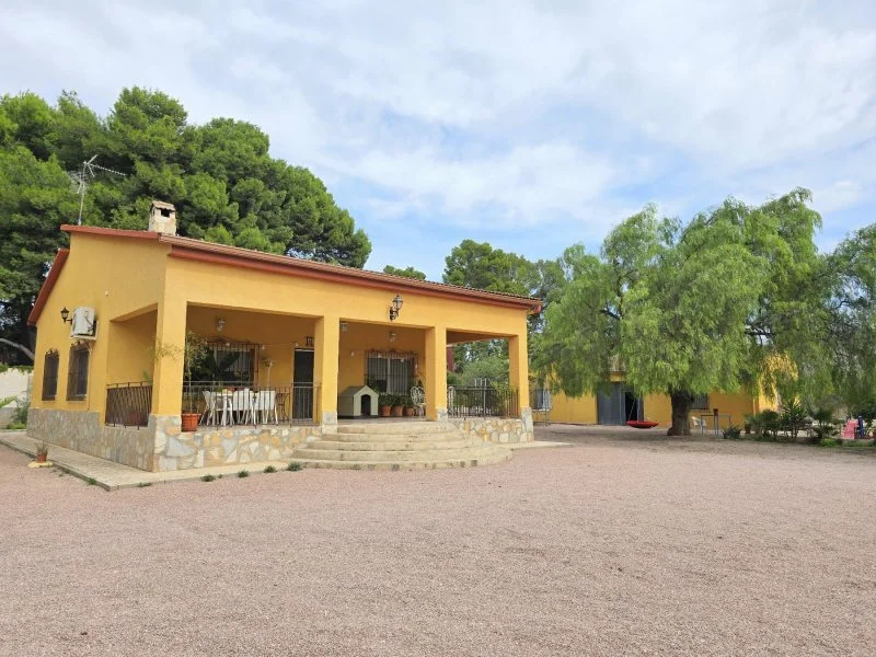 Large Elda chalet with productive land