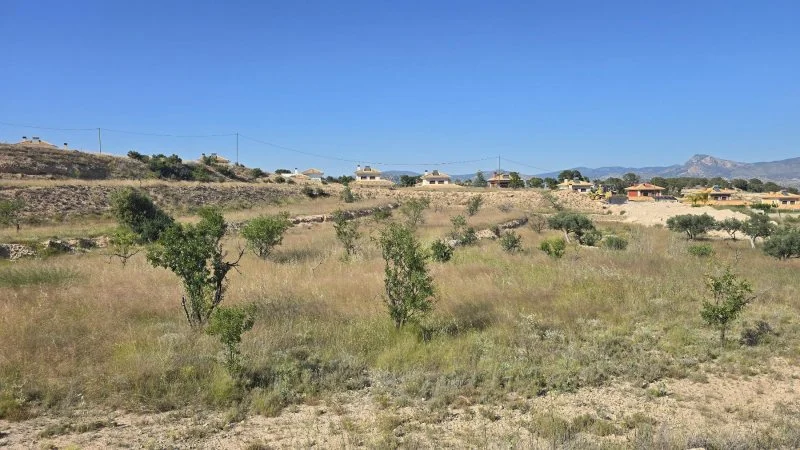 Large buildable plot near Ecociudad